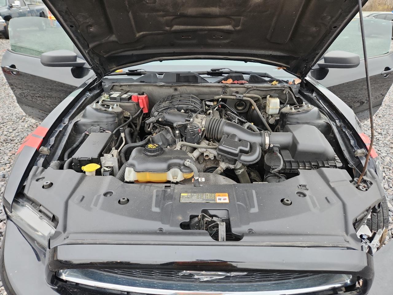 2013 Ford Mustang VIN: 1ZVBP8AM7D5229768 Lot: 93453255