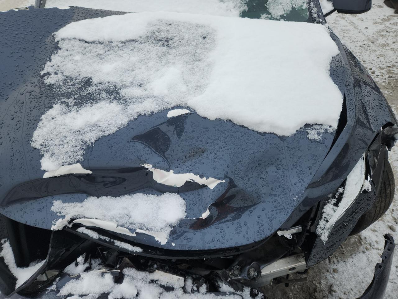 2023 Tesla Model Y VIN: 7SAYGDEE6PA065652 Lot: 92207015