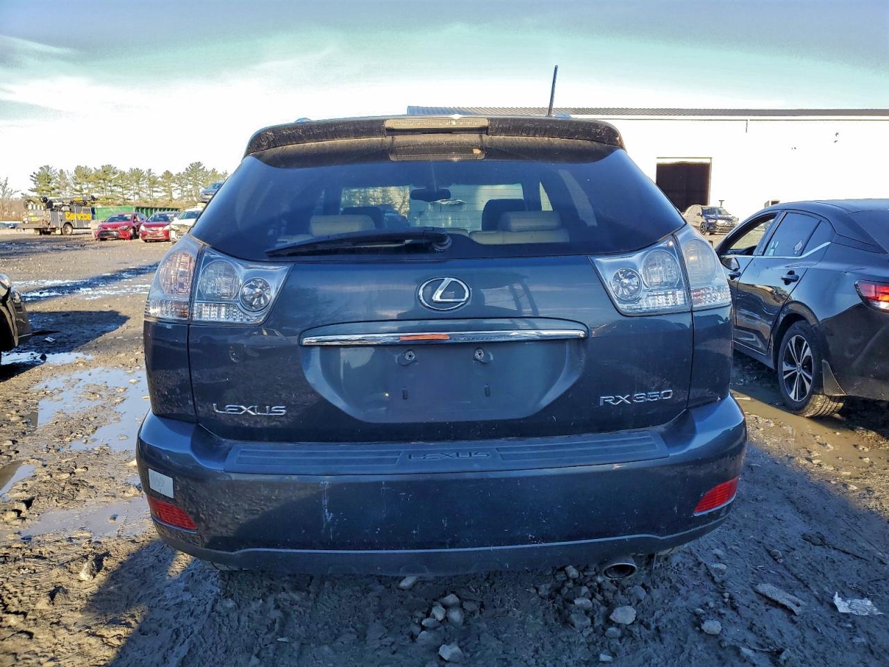 2007 Lexus Rx 350 VIN: 2T2HK31U37C018861 Lot: 94233065