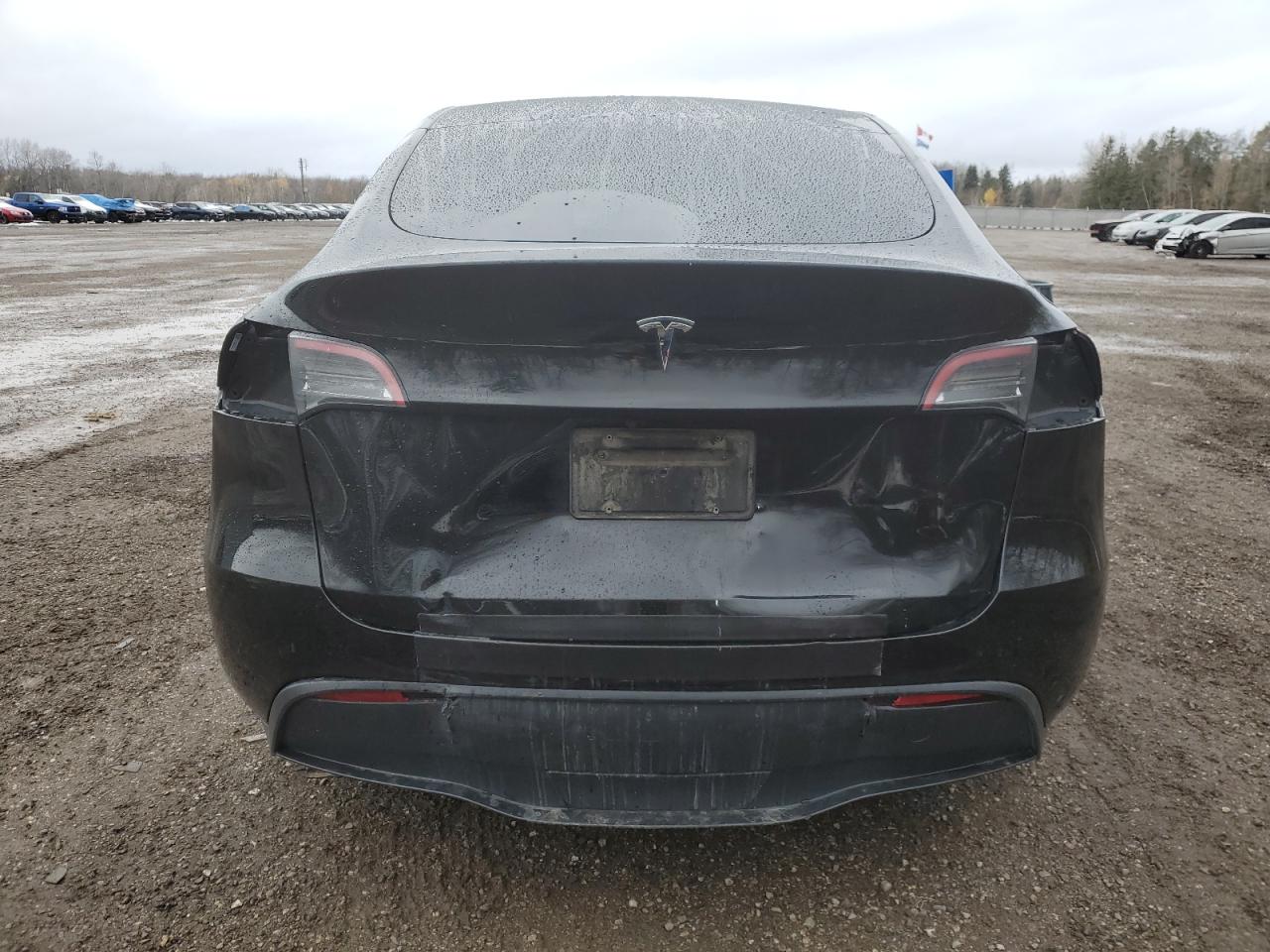 2024 Tesla Model Y VIN: 7SAYGDED6RF054826 Lot: 91987655