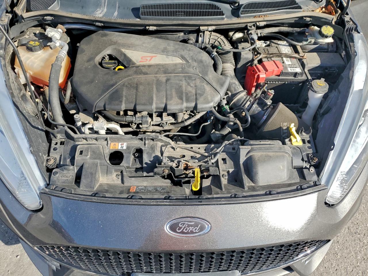 2016 Ford Fiesta St VIN: 3FADP4GX9GM117998 Lot: 94498675