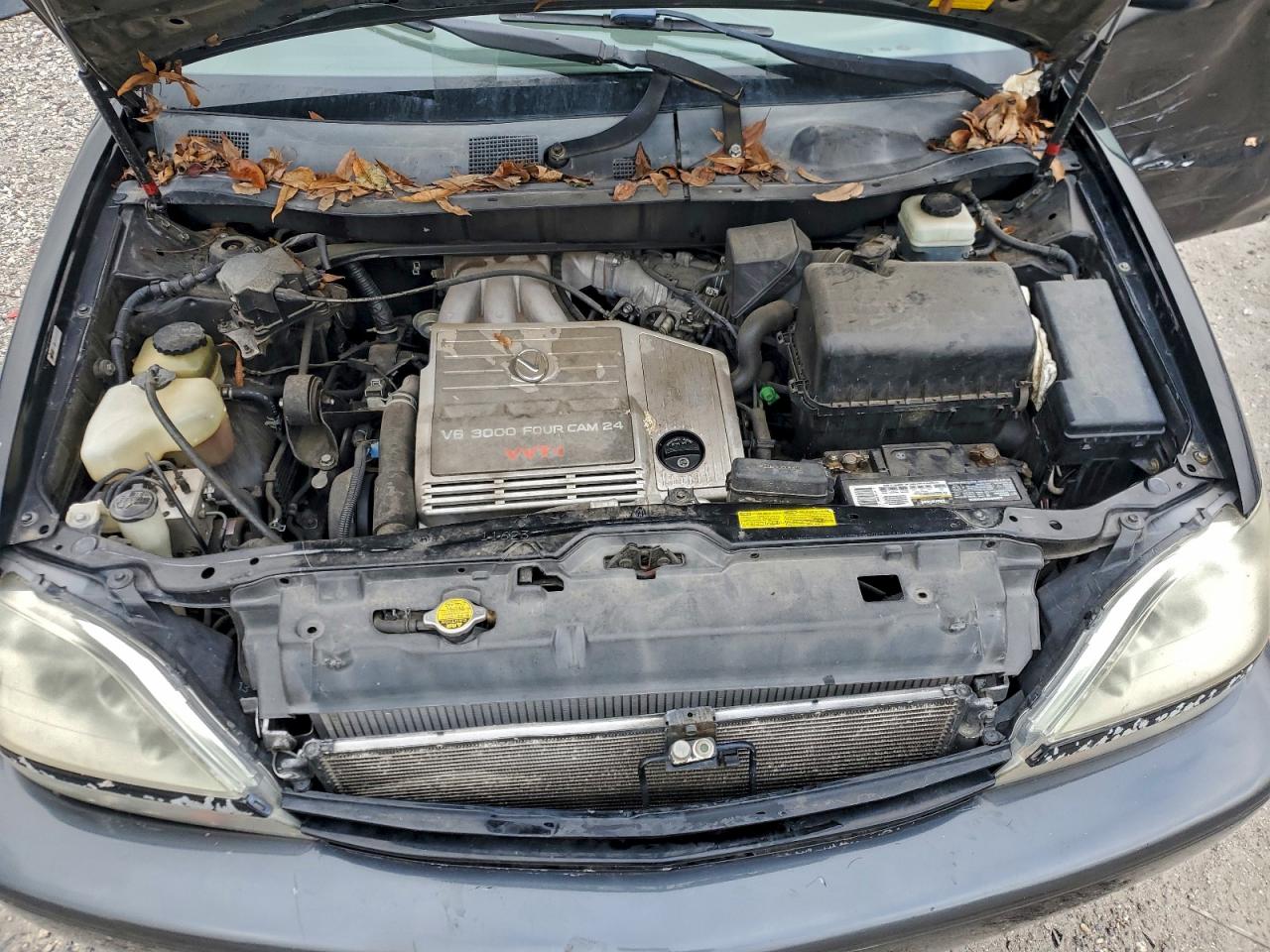 2001 Lexus Rx 300 VIN: JTJGF10UX10089709 Lot: 93201185