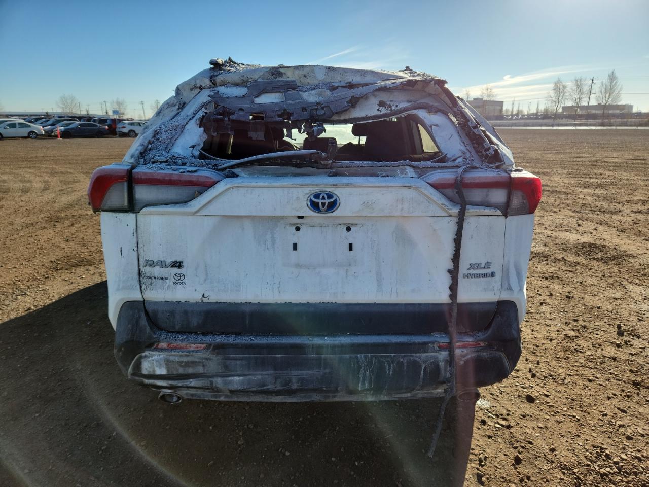 2023 Toyota Rav4 Xle VIN: 2T3RWRFV3PW159257 Lot: 91105755