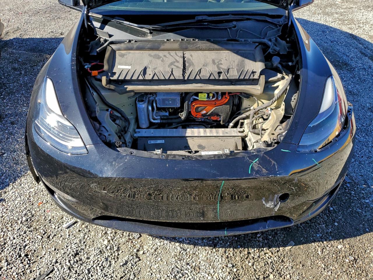 2023 Tesla Model Y VIN: 7SAYGAEE7PF621825 Lot: 92108145