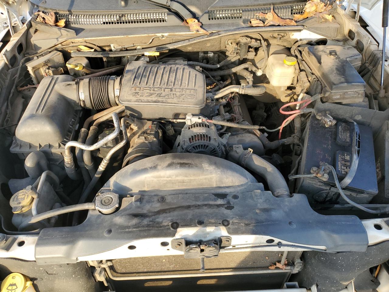 2005 Dodge Dakota Quad Slt VIN: 1D3HW48N25S232157 Lot: 93687585