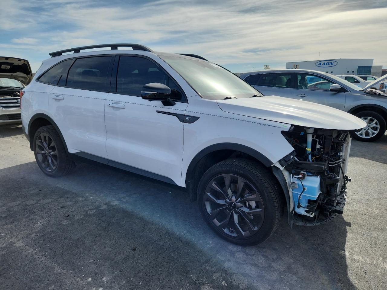2022 Kia Sorento Sx VIN: 5XYRKDLF9NG123287 Lot: 93021935