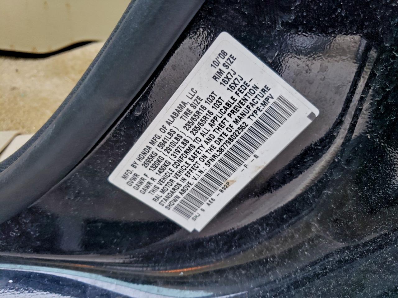 2009 Honda Odyssey Exl VIN: 5FNRL38779B022562 Lot: 94282295