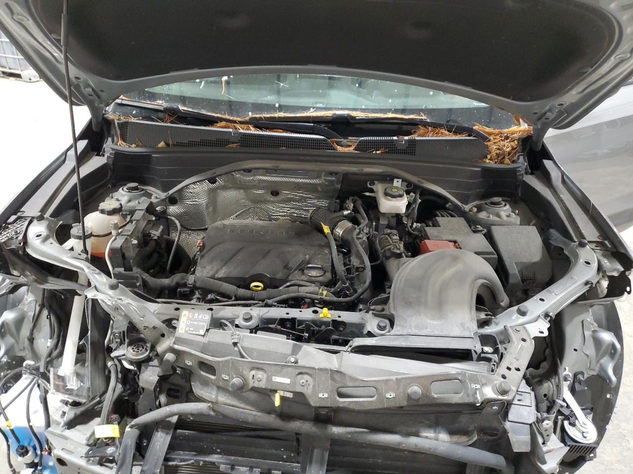 2023 Chevrolet Trailblazer Lt VIN: KL79MPS20PB066725 Lot: 90221545