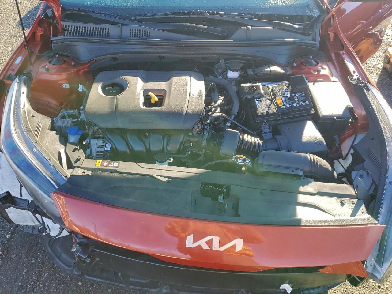 2022 Kia Forte Fe VIN: 3KPF24AD1NE495790 Lot: 94119975