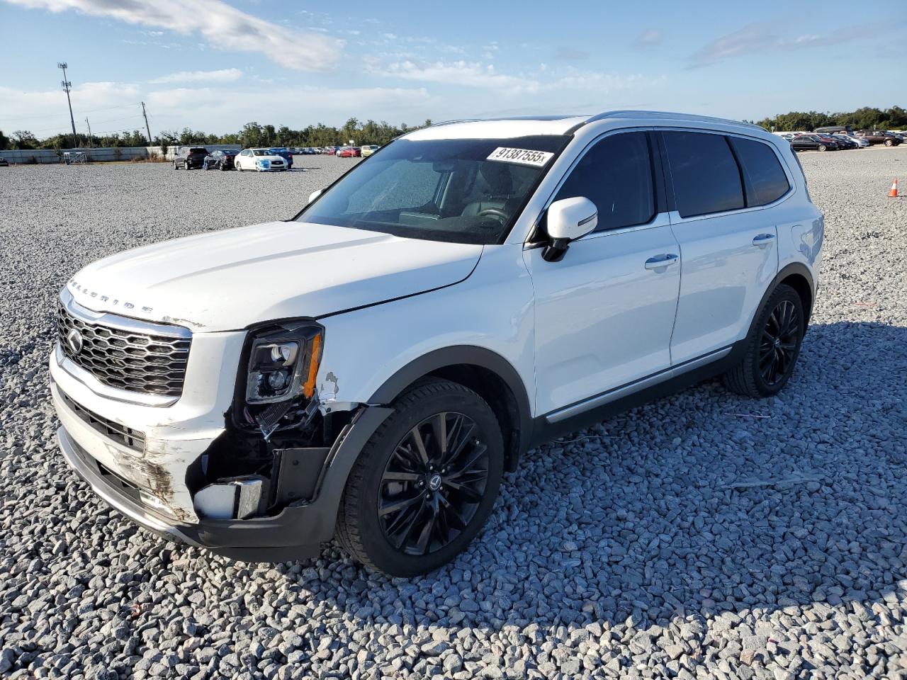 2020 Kia Telluride Sx VIN: 5XYP54HC9LG059469 Lot: 91387555