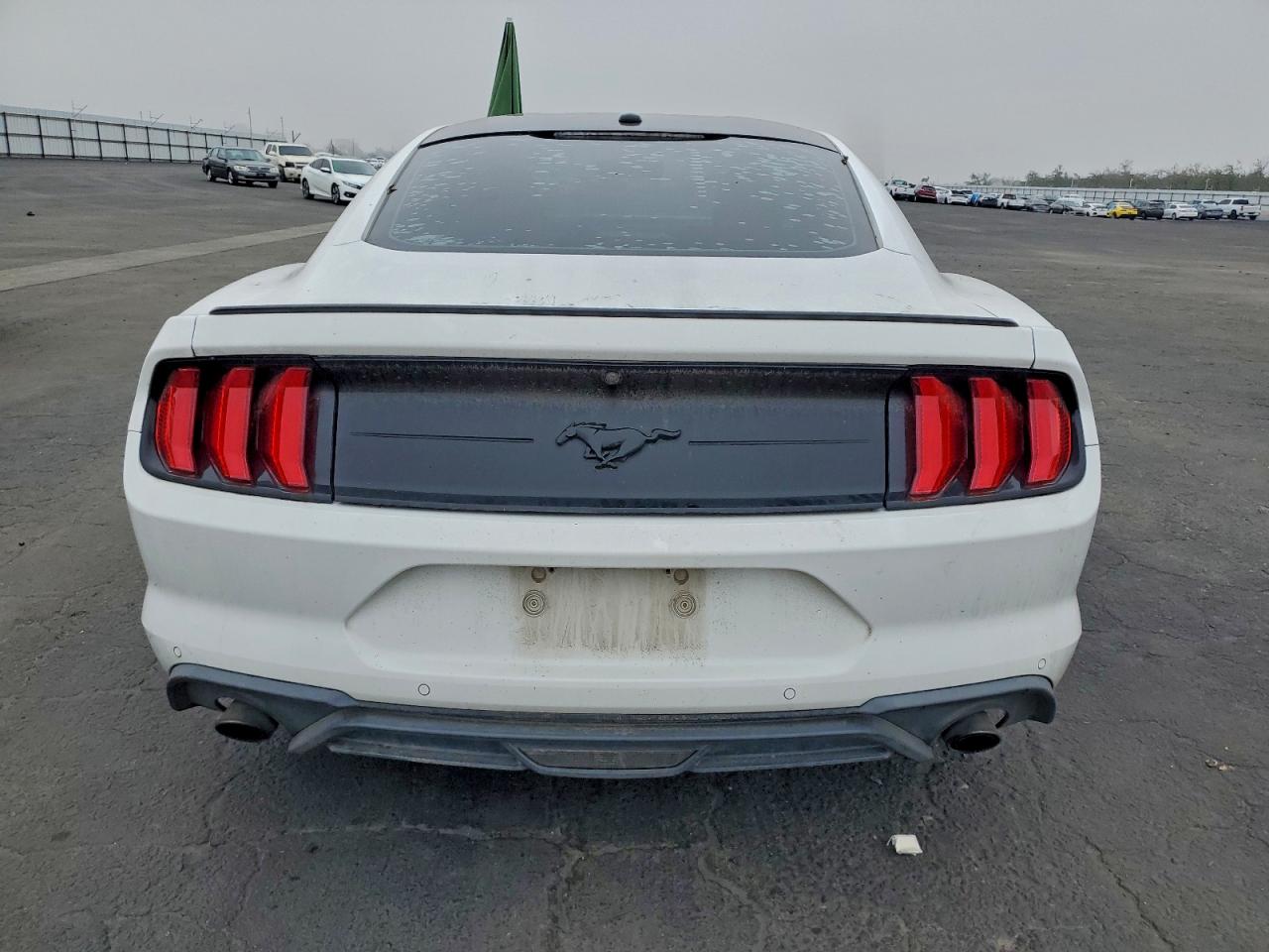 2019 Ford Mustang VIN: 1FA6P8THXK5135567 Lot: 93893915