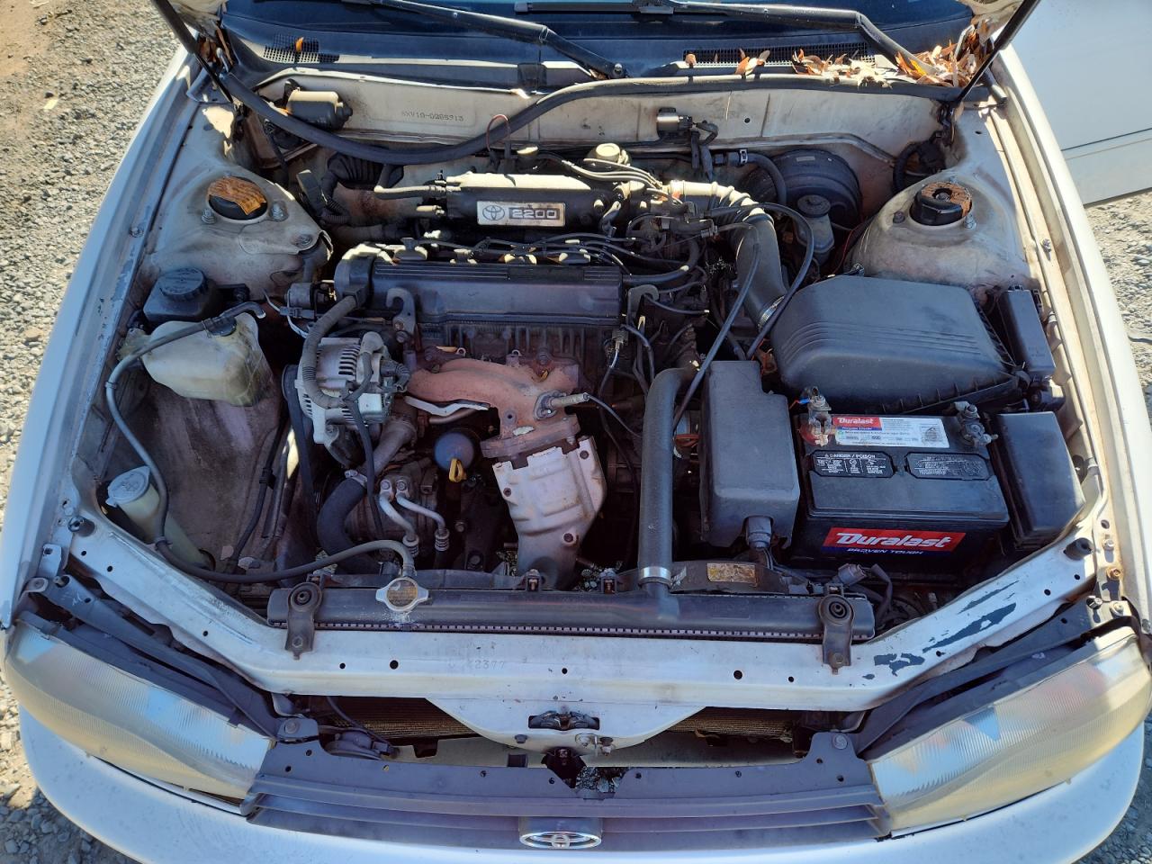 1994 Toyota Camry Le VIN: JT2SK12E3R0255913 Lot: 91910965