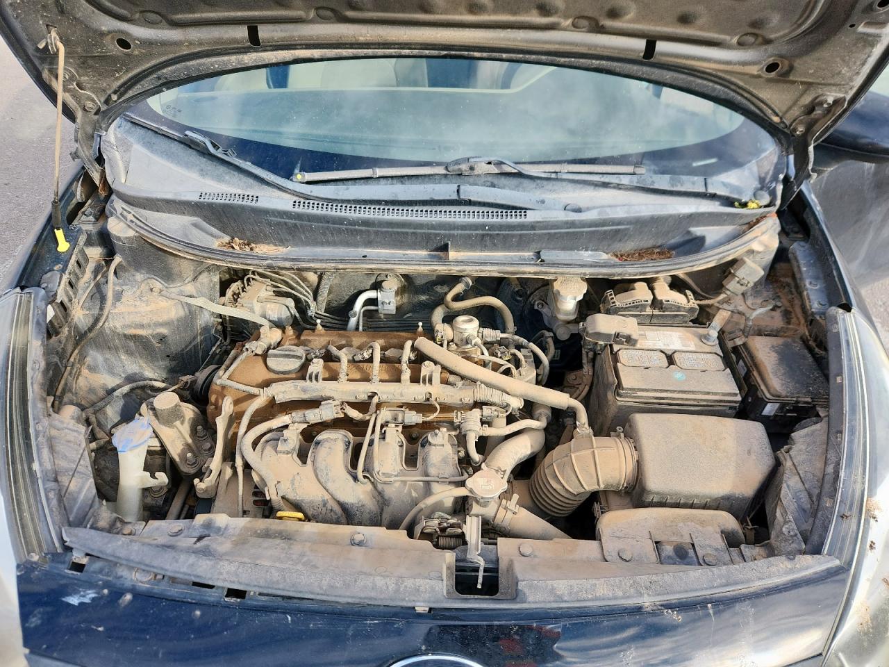 2013 Kia Rio Lx VIN: KNADM4A38D6176817 Lot: 93512755