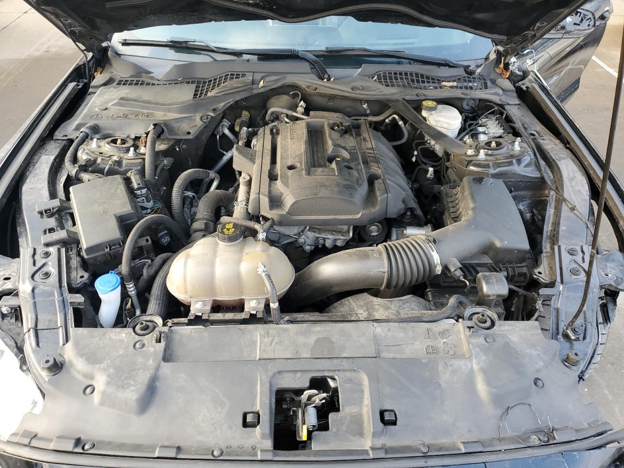 2019 Ford Mustang VIN: 1FATP8UH2K5188555 Lot: 91687195