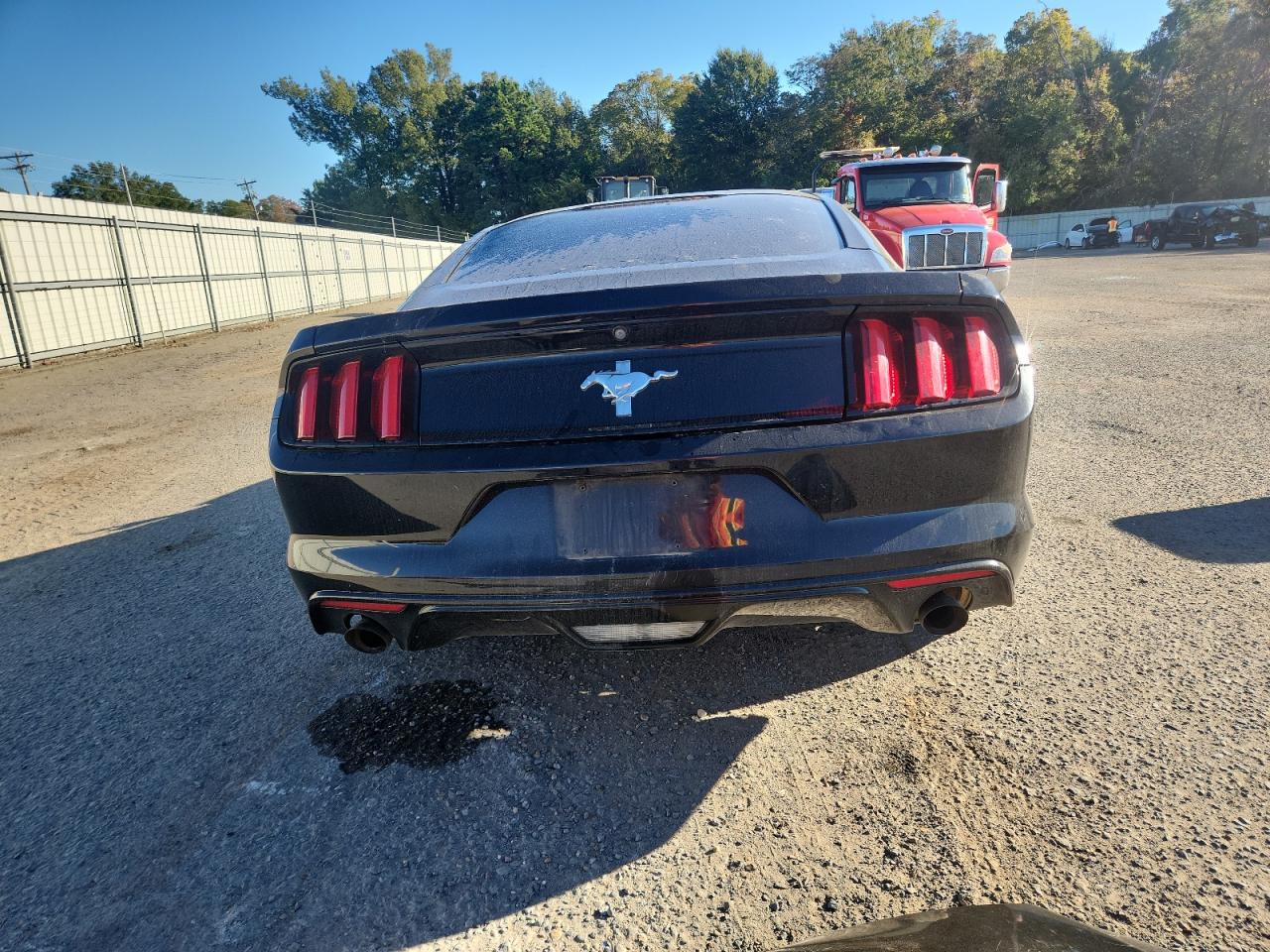 2017 Ford Mustang VIN: 1FA6P8AM1H5291215 Lot: 90734115