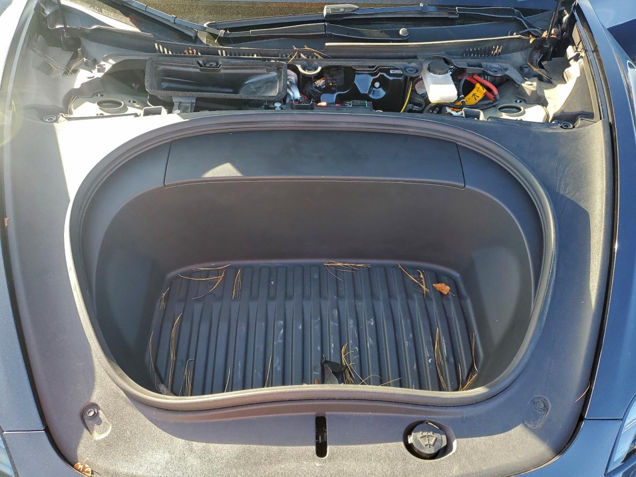 2024 Tesla Model 3 VIN: 5YJ3E1EA8RF728184 Lot: 93984065