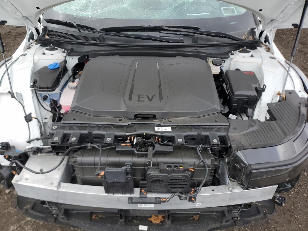 2025 Hyundai Ioniq 5 Limited VIN: 7YAKRDDC6SY009101 Lot: 91826375