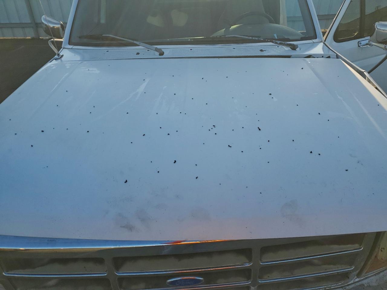 1994 Ford F250 VIN: 1FTHX26GXRKB14166 Lot: 94183965