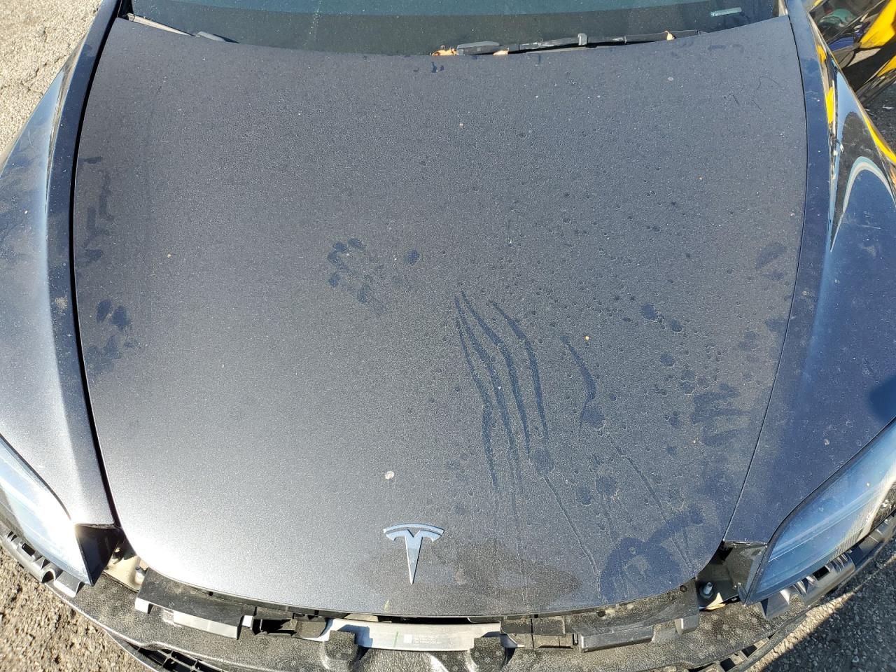 2024 Tesla Model 3 VIN: 5YJ3E1EA4RF871875 Lot: 91102885