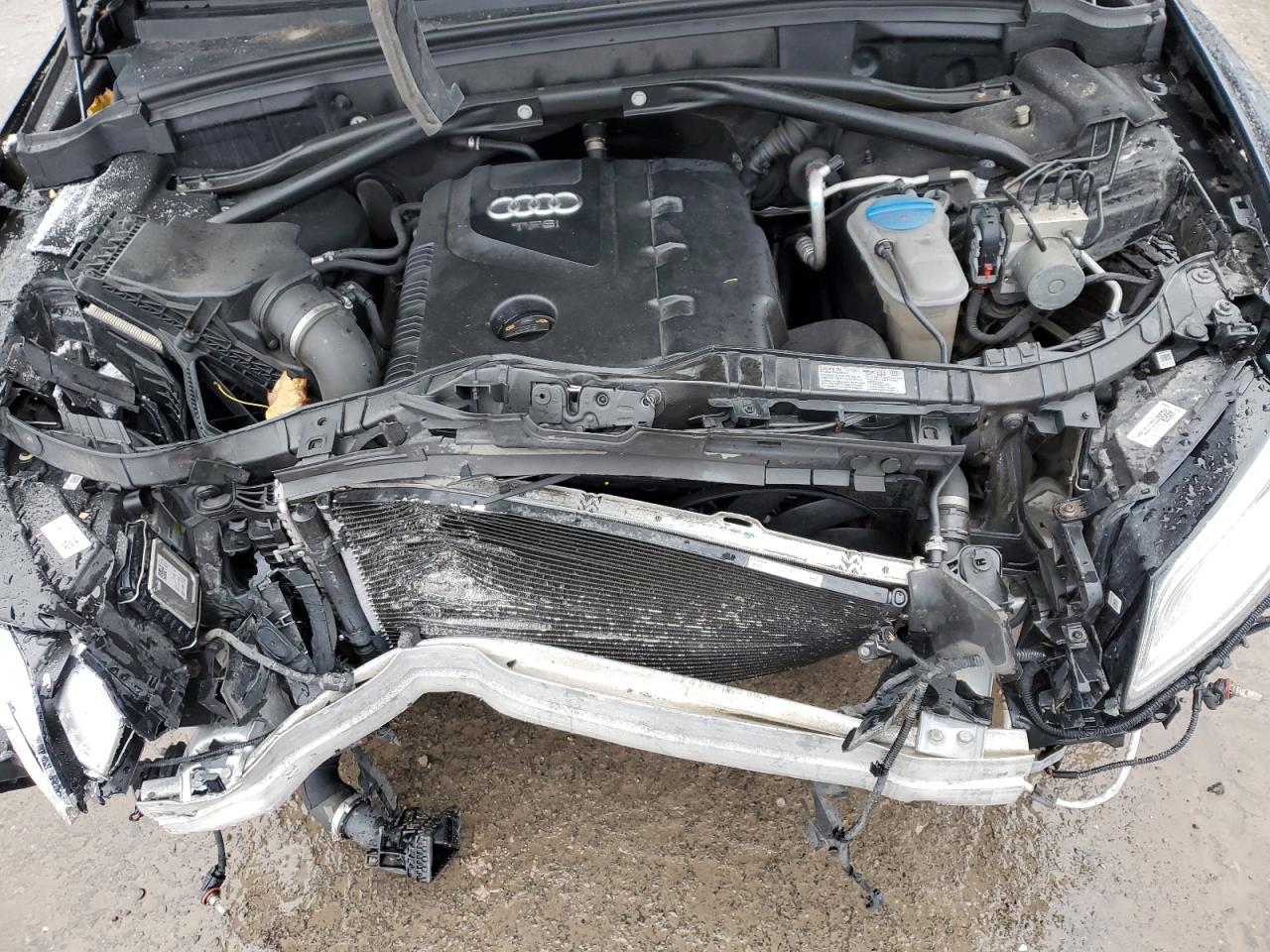 2013 Audi Q5 Premium Plus VIN: WA1LFAFP5DA079388 Lot: 91563925