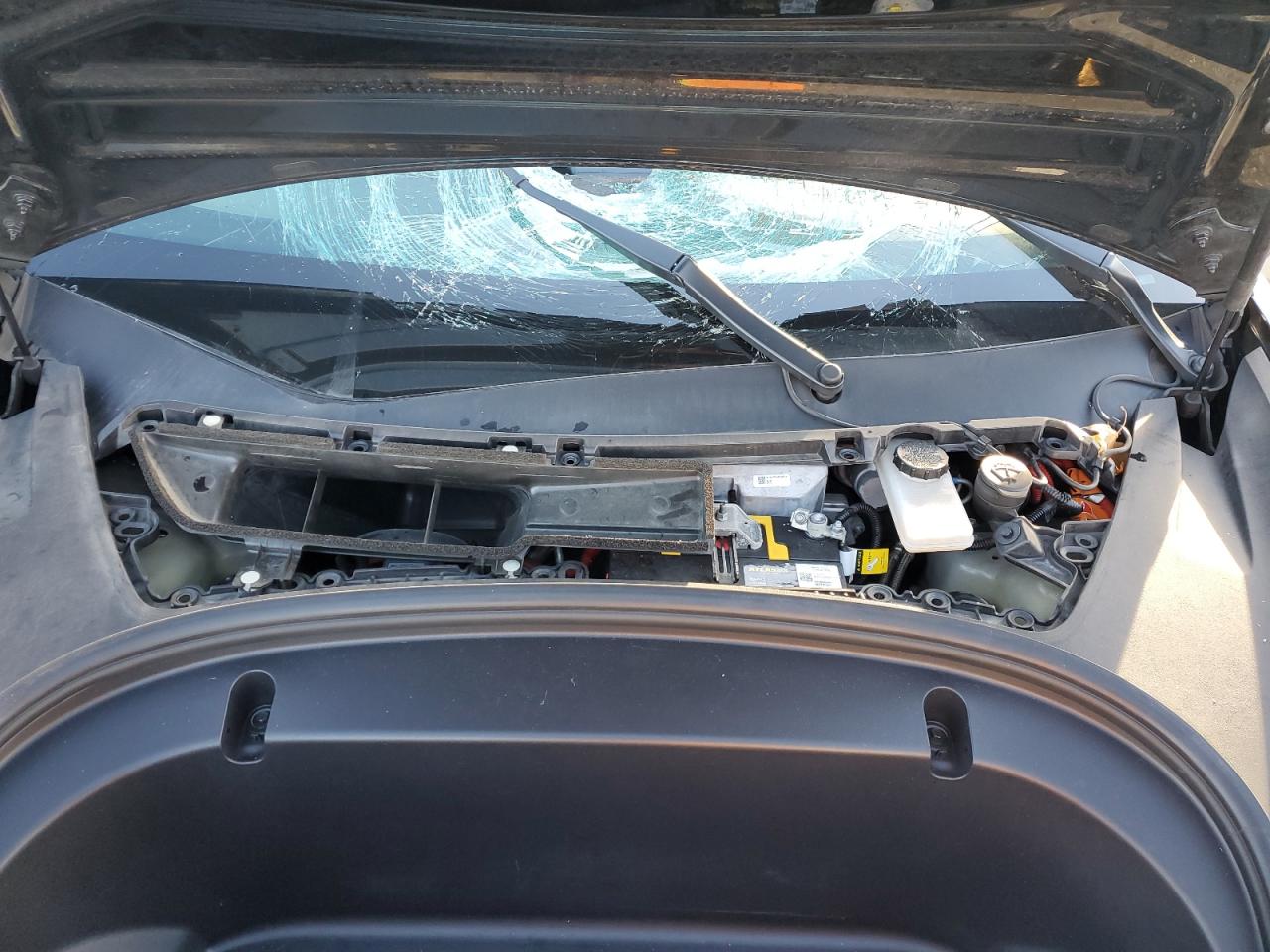 2020 Tesla Model 3 VIN: 5YJ3E1EB2LF600815 Lot: 93509925