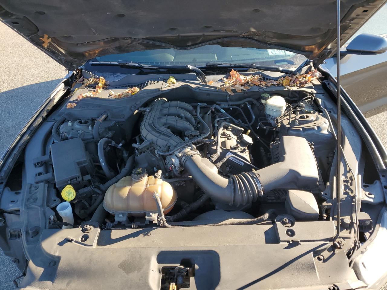 2015 Ford Mustang VIN: 1FA6P8AM5F5360646 Lot: 92651915