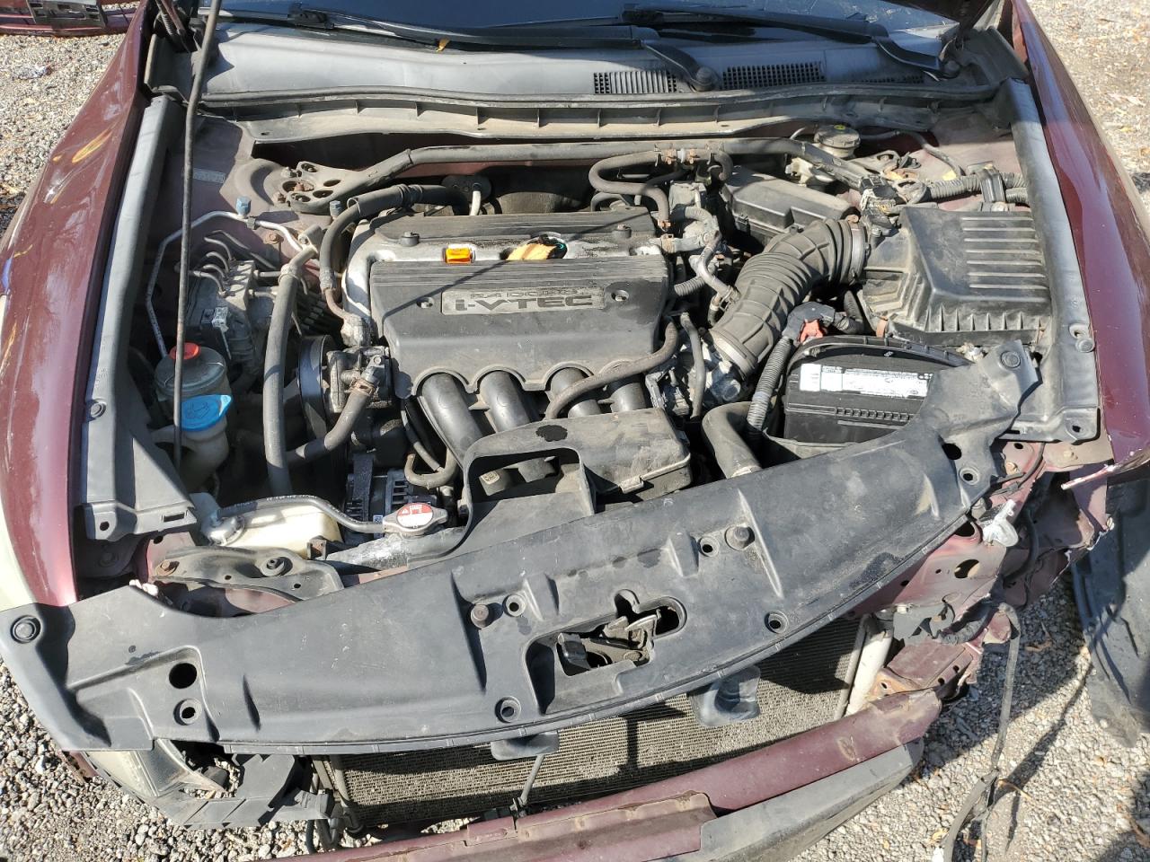 2009 Honda Accord Exl VIN: 1HGCP26899A136282 Lot: 91640605