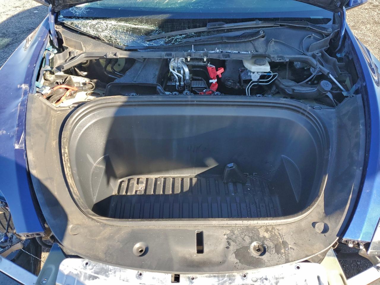 2024 Tesla Model Y VIN: 7SAYGDEEXRF003676 Lot: 94365555