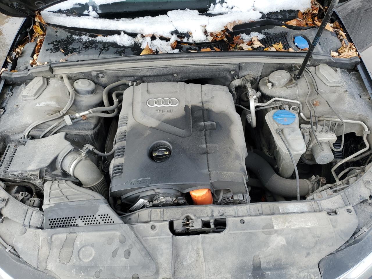 2014 Audi A4 Premium Plus VIN: WAUFFCFL8EN025022 Lot: 93261565