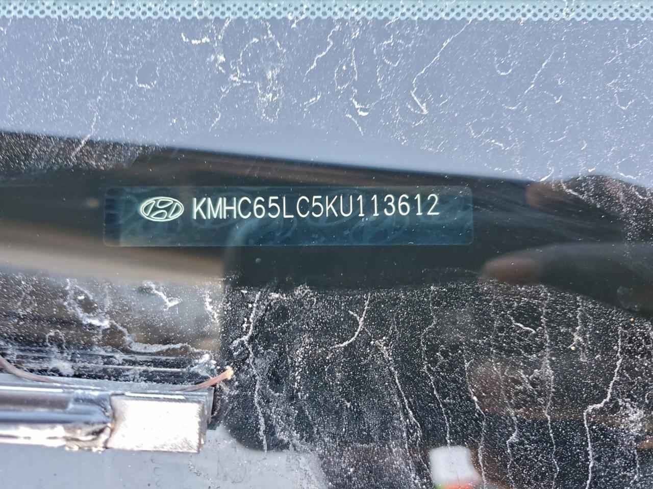 2019 Hyundai Ioniq Blue VIN: KMHC65LC5KU113612 Lot: 94238975