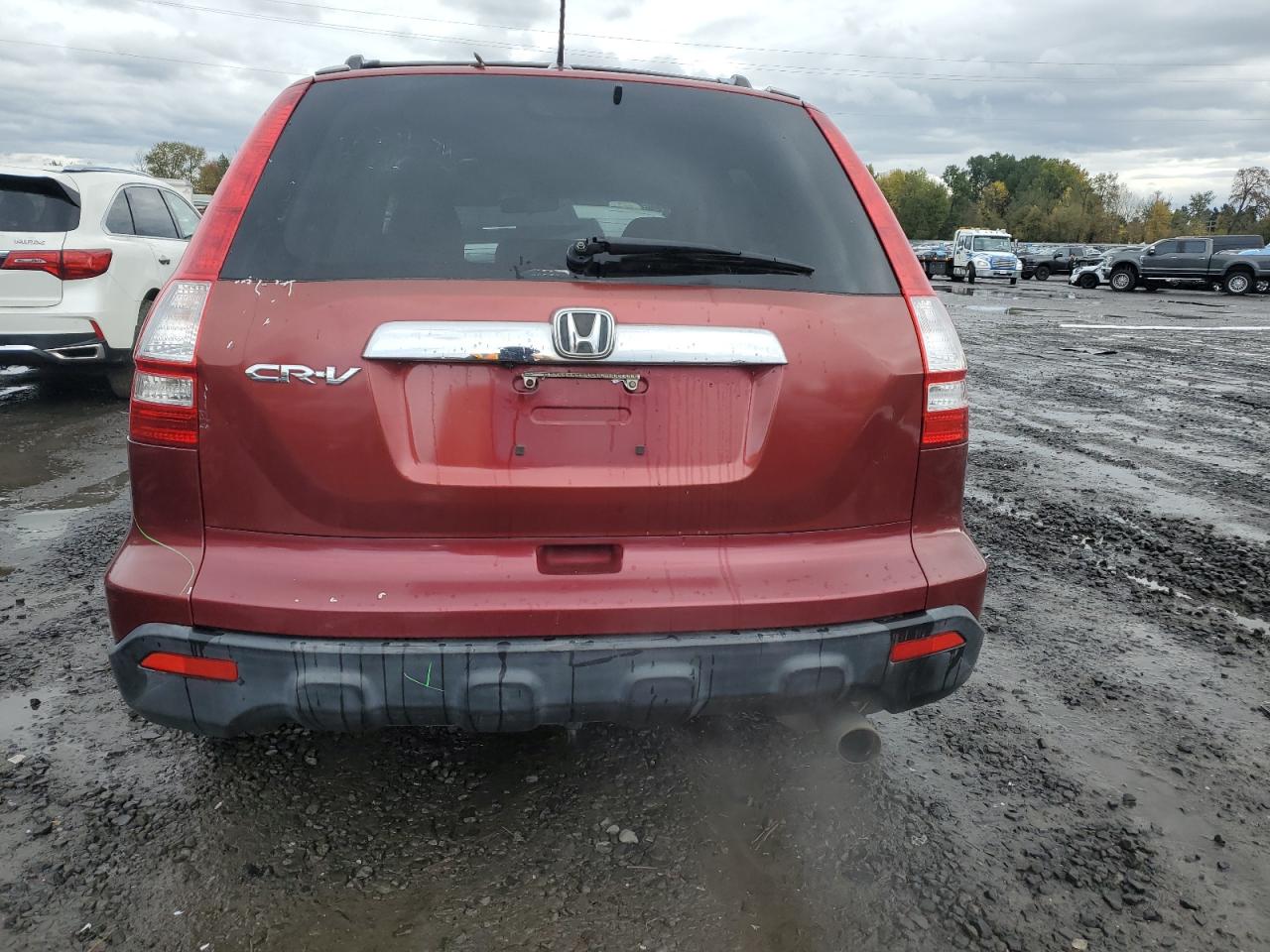 2008 Honda Cr-V Exl VIN: JHLRE48708C063744 Lot: 91099275