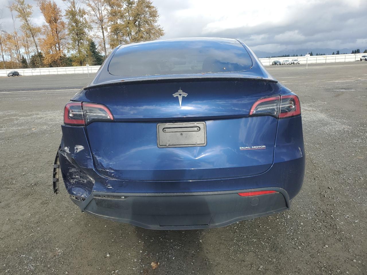 2023 Tesla Model Y VIN: 7SAYGDEF0PF779823 Lot: 91901135