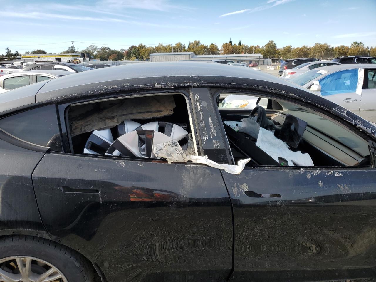 2023 Tesla Model Y VIN: 7SAYGDEE7PF748608 Lot: 90137635