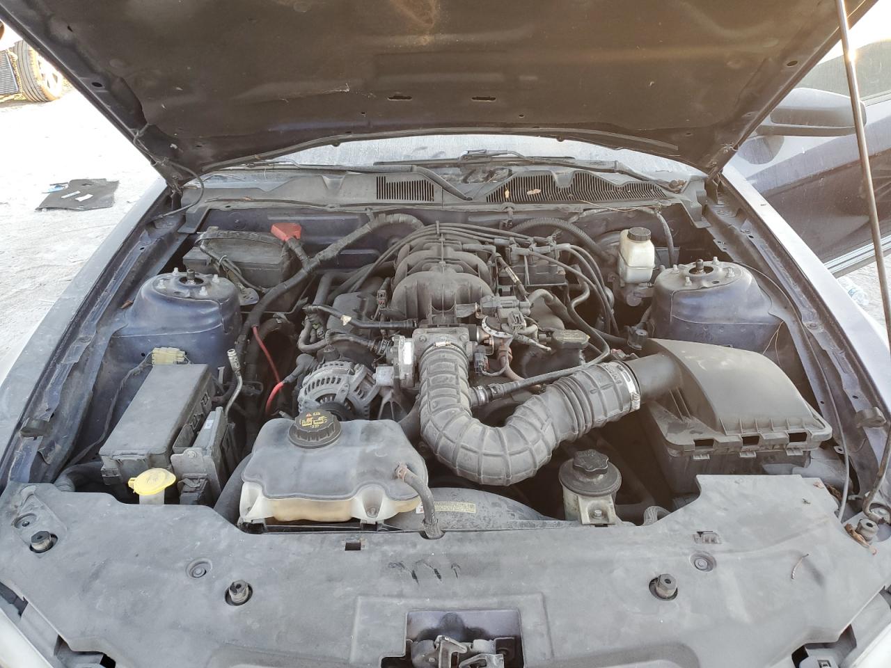 2010 Ford Mustang VIN: 1ZVBP8AN7A5170659 Lot: 92616535