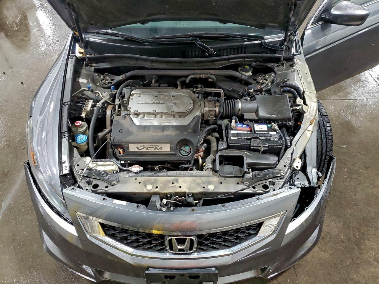 2009 Honda Accord Exl VIN: 1HGCS22899A006278 Lot: 94124135