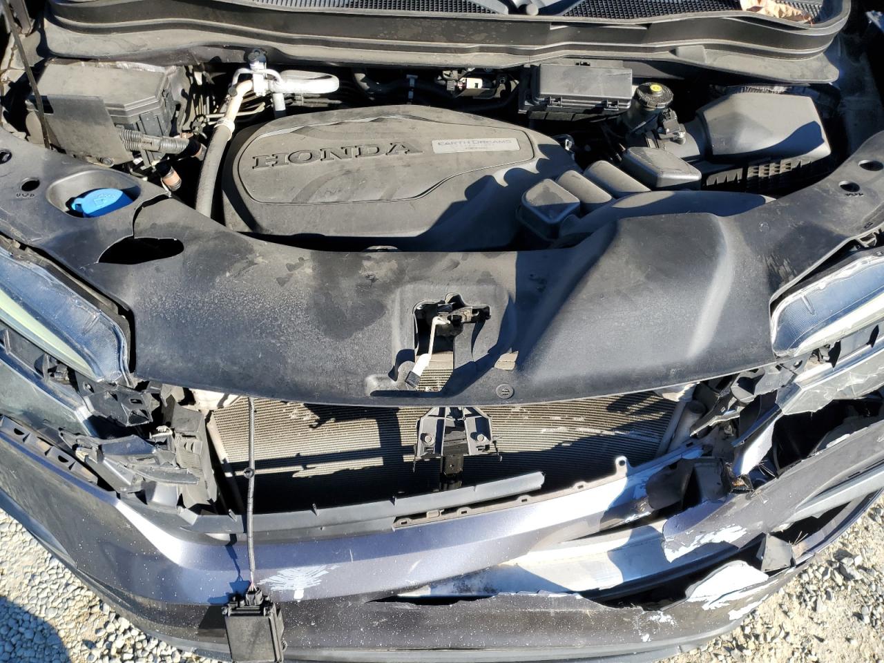 2019 Honda Pilot Exl VIN: 5FNYF5H57KB013363 Lot: 91633415