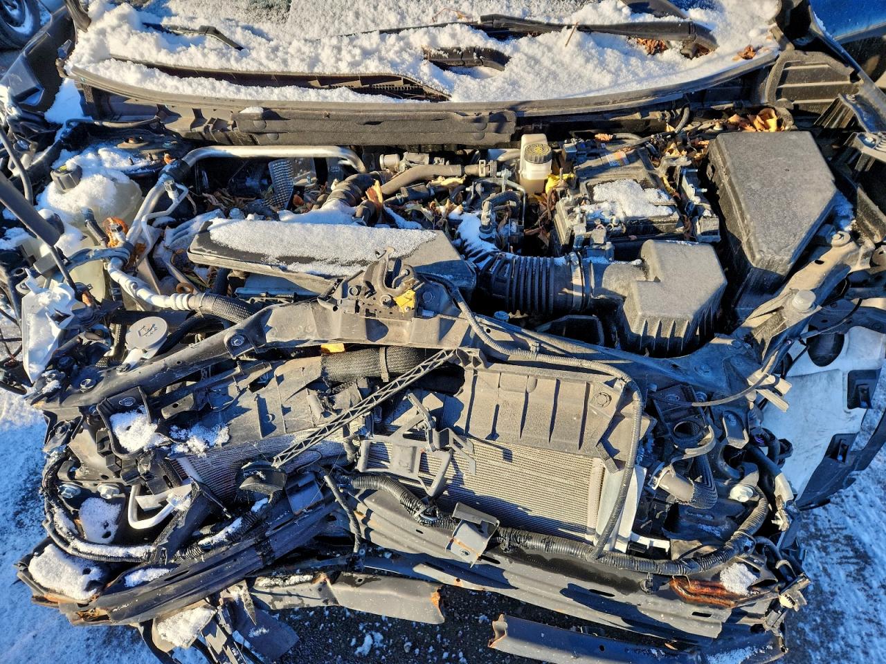 2023 Nissan Rogue Sv VIN: JN8BT3BB1PW182951 Lot: 93032285