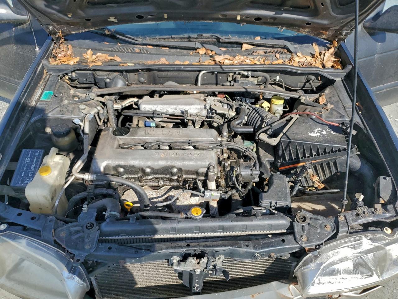 2001 Nissan Sentra Se VIN: 3N1BB51D81L108181 Lot: 94042845