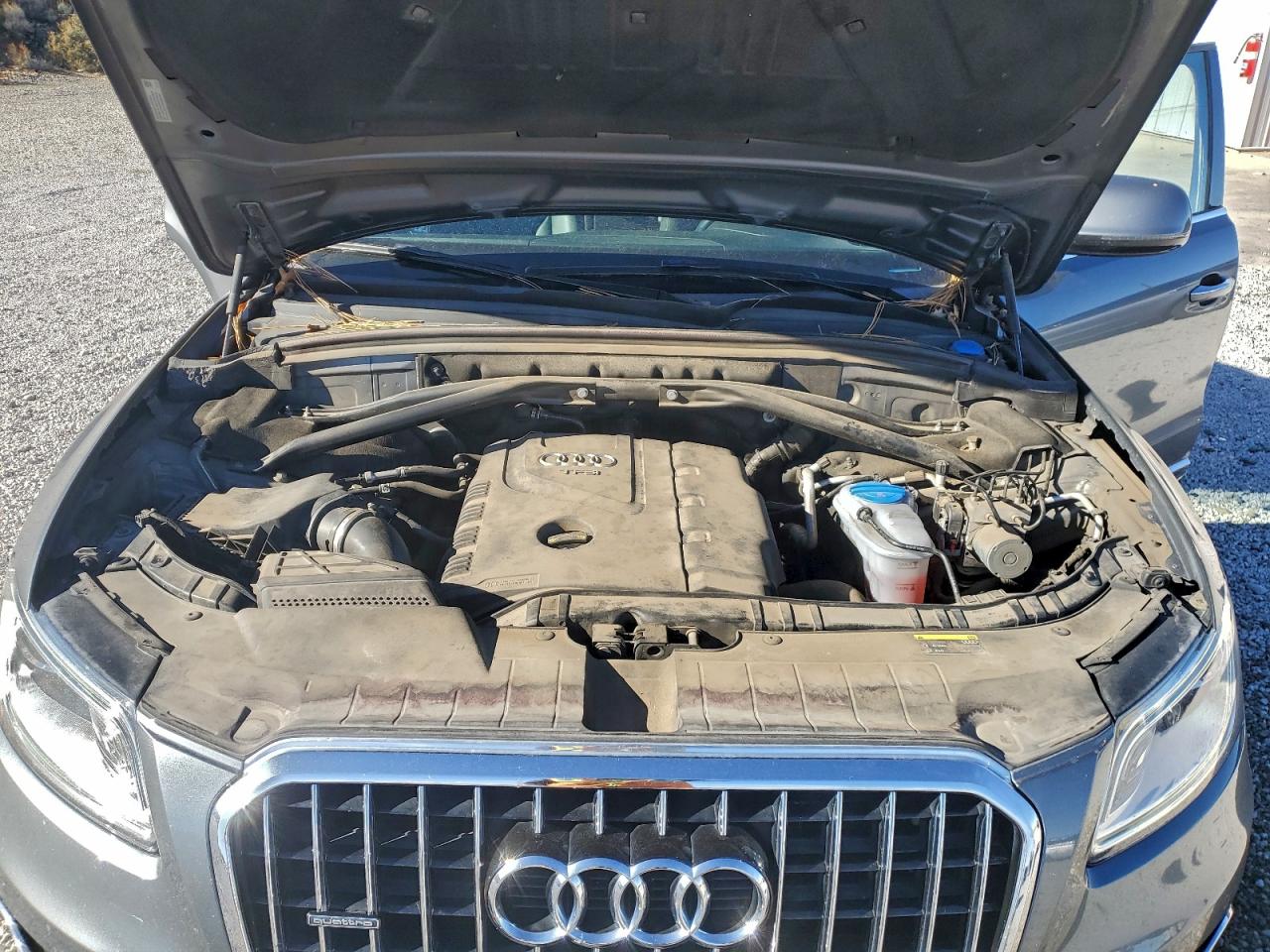 2015 Audi Q5 Premium Plus VIN: WA1LFAFP3FA124234 Lot: 93475605