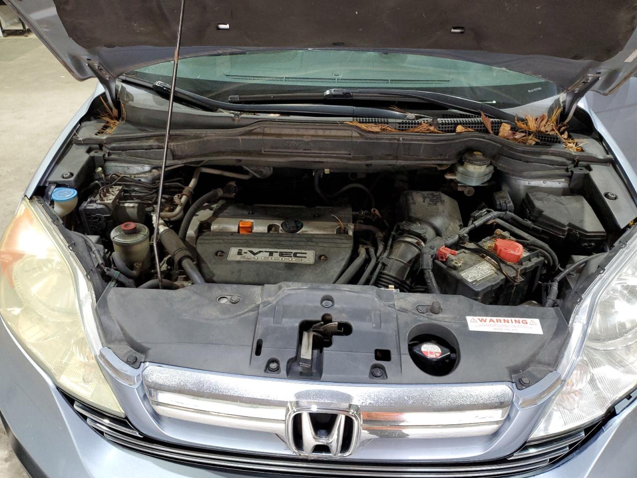 2008 Honda Cr-V Exl VIN: 5J6RE487X8L019760 Lot: 91666165