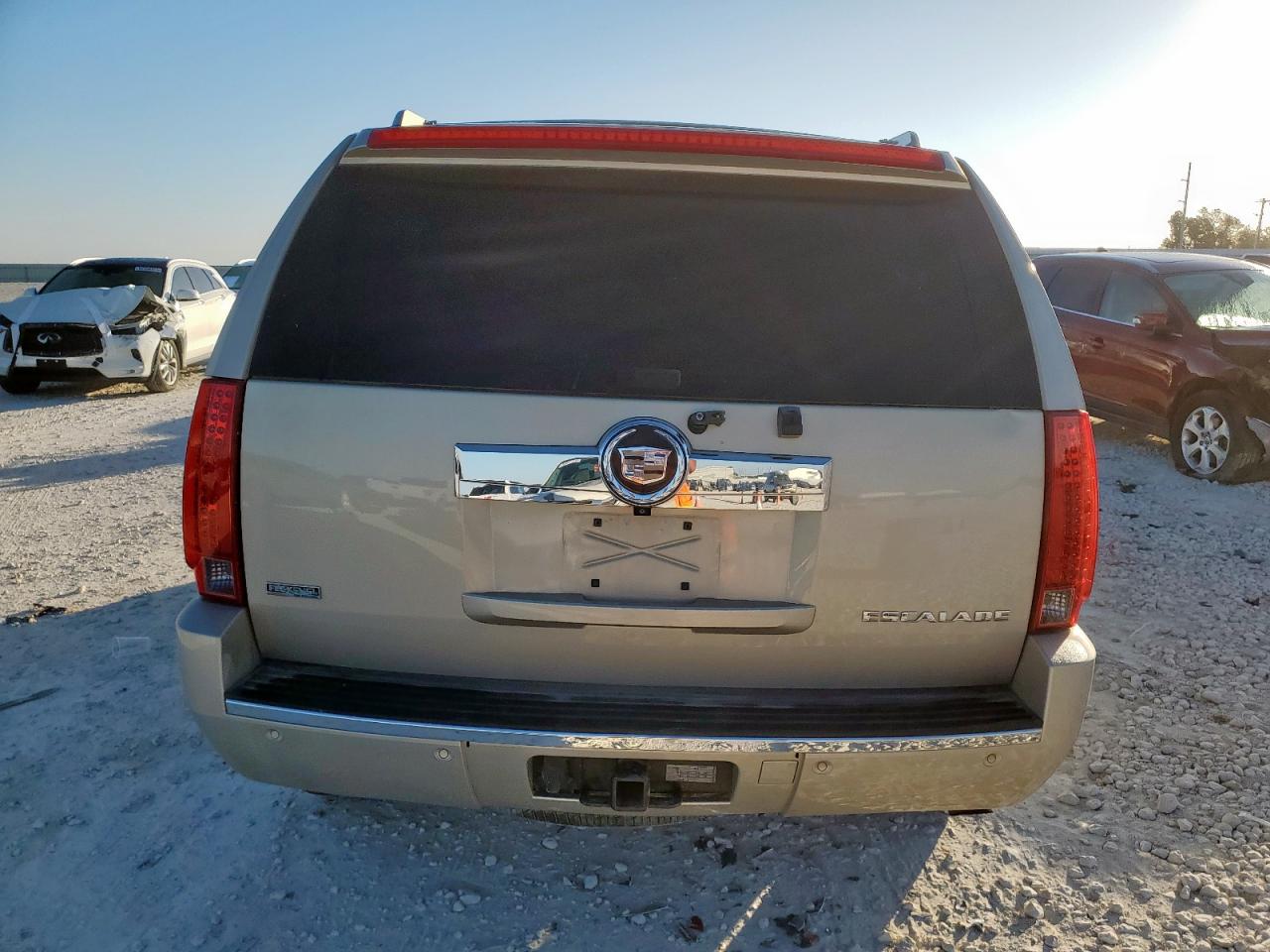 2010 Cadillac Escalade Luxury VIN: 1GYUCBEF7AR119303 Lot: 92087755