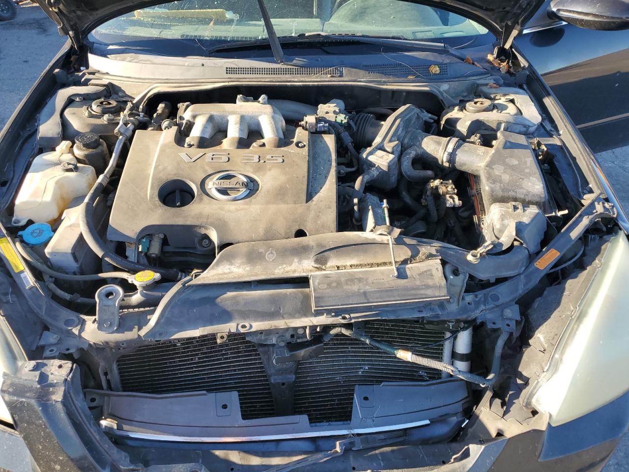 2004 Nissan Altima Se VIN: 1N4BL11E74C163142 Lot: 92810335