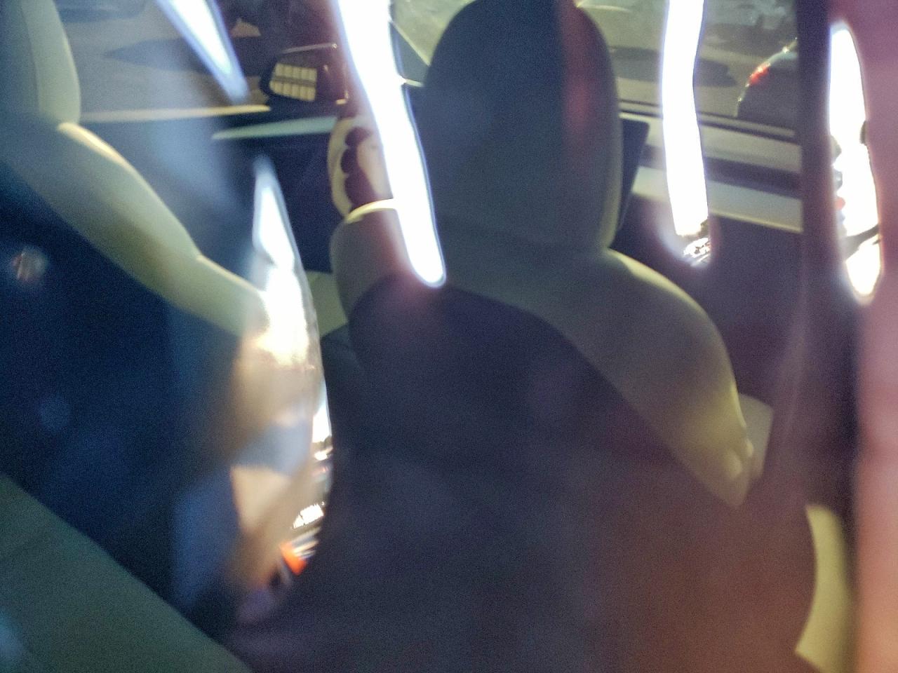 2022 Tesla Model Y VIN: 7SAYGDEE5NF562479 Lot: 93235945