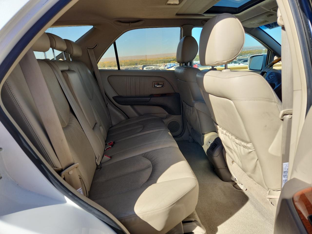 2002 Lexus Rx 300 VIN: JTJHF10U320286923 Lot: 91855565