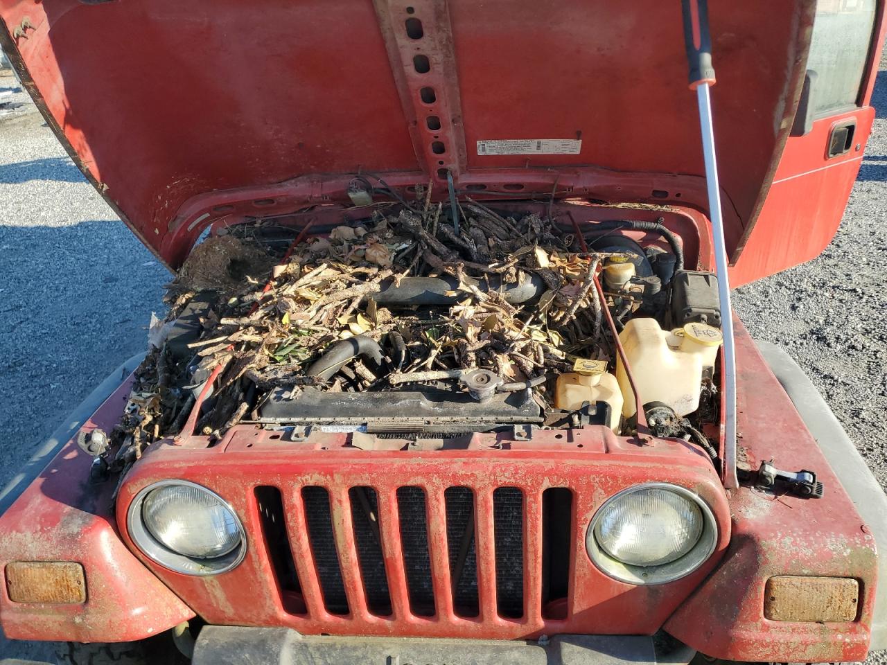 1990 Jeep Wrangler / Tj Sport VIN: 1J4FY19S1XP408984 Lot: 92563415