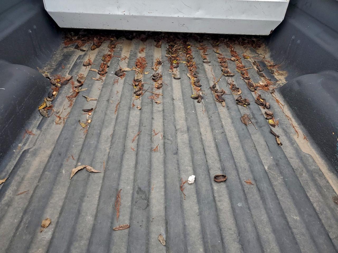 2012 GMC Sierra C1500 VIN: 1GTN1TE08CZ174167 Lot: 94229365