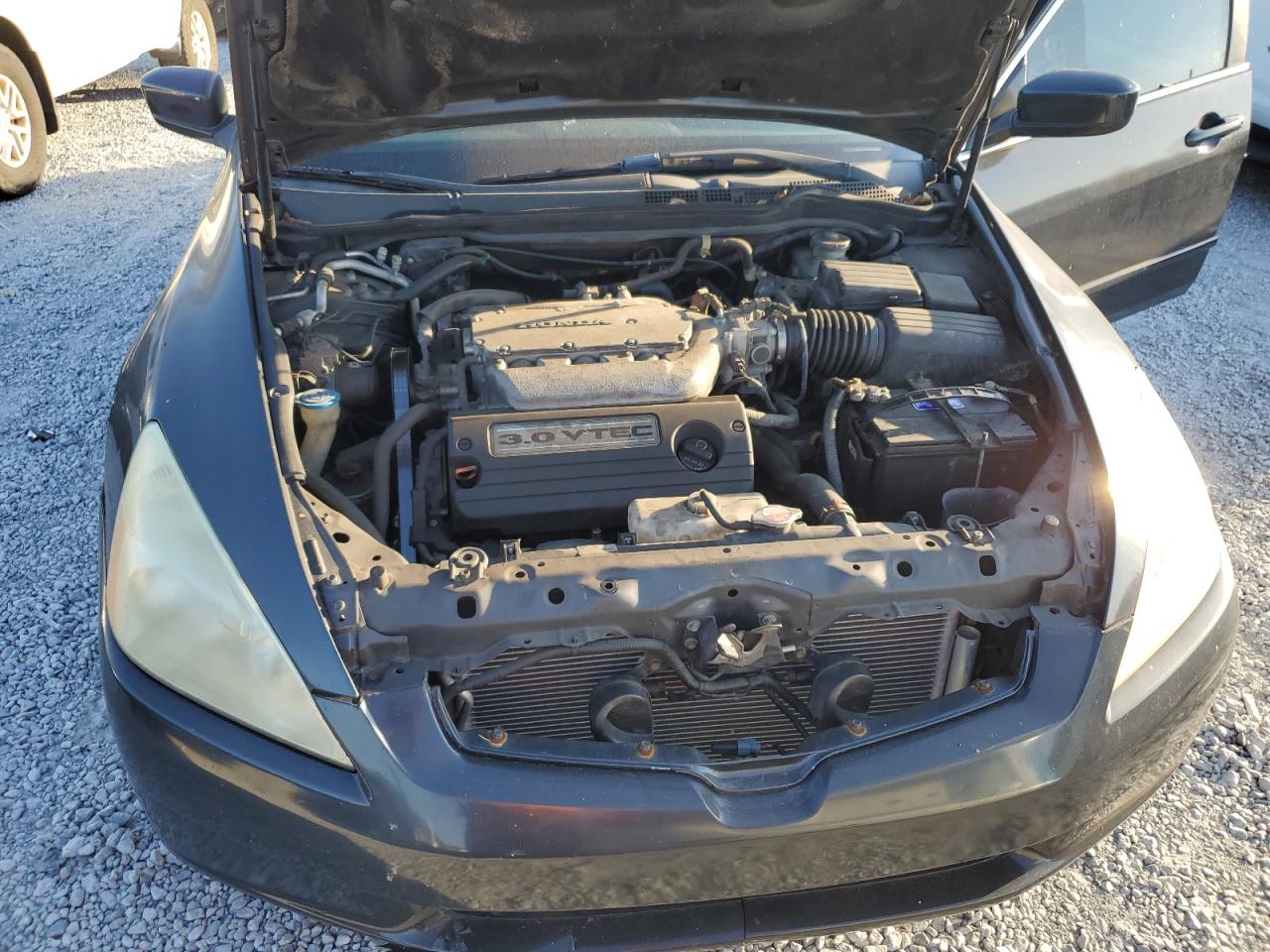 2006 Honda Accord Ex VIN: 1HGCM66596A065294 Lot: 93373285