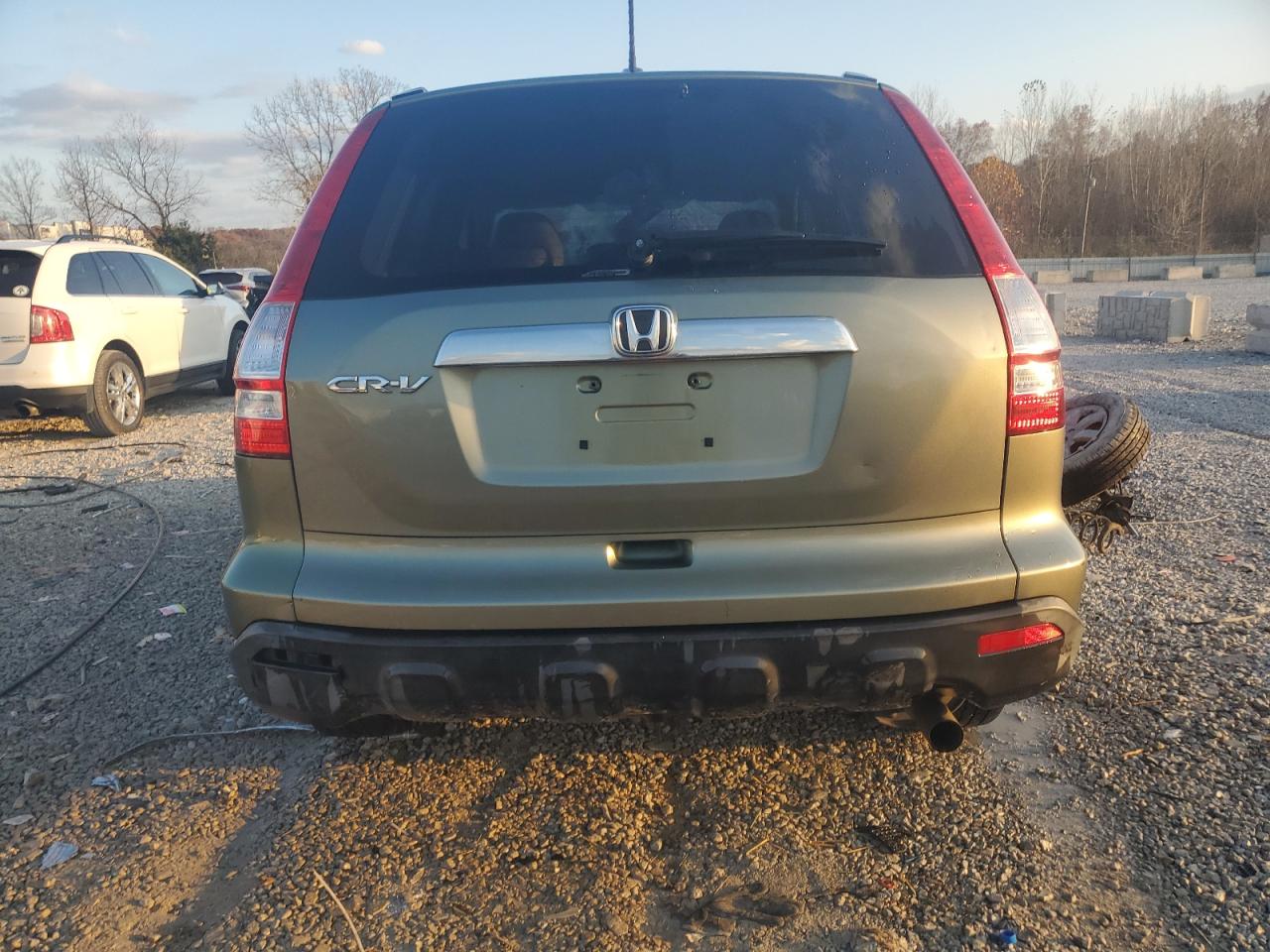2009 Honda Cr-V Exl VIN: JHLRE48729C001778 Lot: 92860525