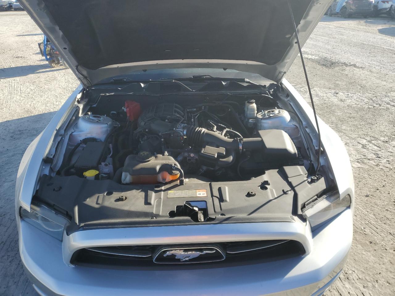 2013 Ford Mustang VIN: 1ZVBP8AM3D5218251 Lot: 91903625