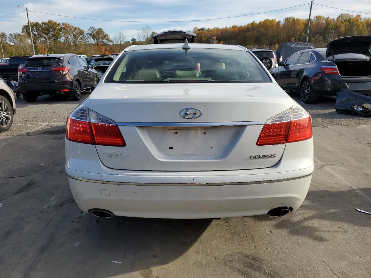 2009 Hyundai Genesis 3.8L VIN: KMHGC46E19U034790 Lot: 91384915
